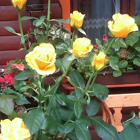 Guest house Smerekova Hata